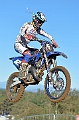 _ROB6733 (Copy)